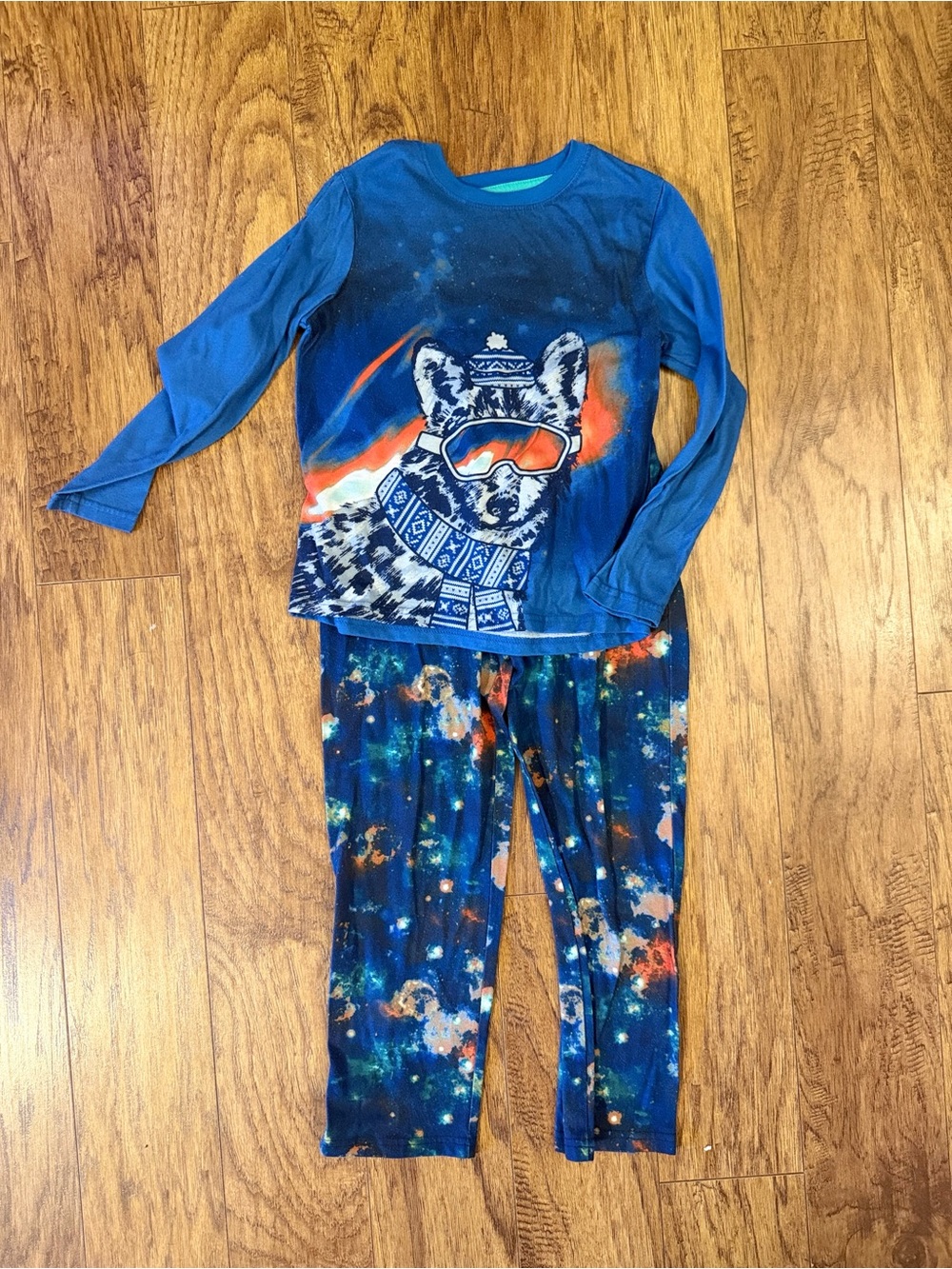 Blue Kids Pajama Set with Ski Dog Graphic